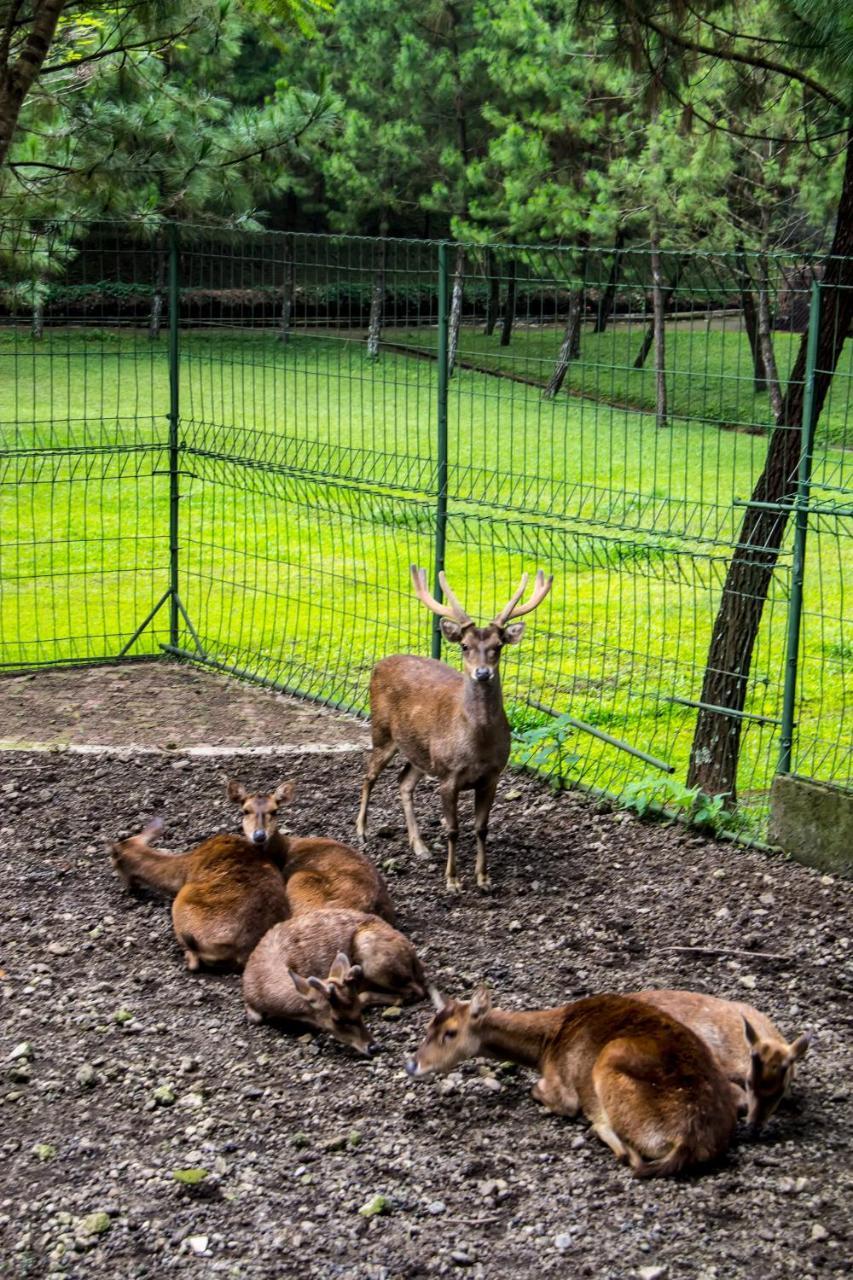 プテリ グノン ホテル レムバン エクステリア 写真
